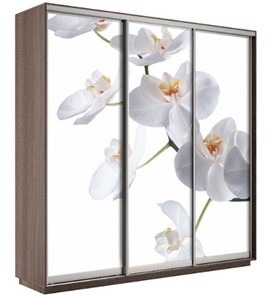 Шкаф 3-дверный Экспресс 2100х600х2200, Орхидея белая/шимо темный в Биробиджане