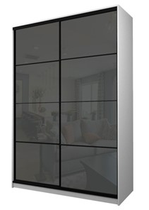 Шкаф 2-х дверный MAX МШ-25-6-18-22, Профиль Черный/Цвет Белый/Oracal Темно-серый в Биробиджане