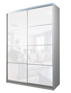 Шкаф 2-х дверный MAX МШ-25-6-18-22, Профиль Серебро/Цвет Белый/Oracal Белый в Биробиджане