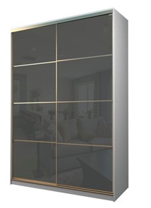 Шкаф 2-х дверный MAX МШ-25-6-18-22, Профиль Золото/Цвет Белый/Oracal Темно-серый в Биробиджане