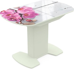 Кухонный стол раздвижной Корсика исп. 2 Фотопечать (Цветы №24) 1200(1515)*800 в Биробиджане