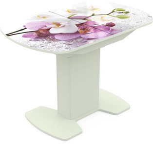 Кухонный стол раздвижной Корсика исп. 2 Фотопечать (Цветы №44) 1200(1515)*800 в Биробиджане