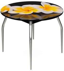 Кухонный стол раздвижной Ривьера - Круг, ноги метал. крашеные №24, ФП (Цветы №11) в Биробиджане