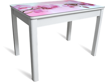 Кухонный стол раскладной Айсберг-02 СТФ, белое лдсп/орхидея/40 прямые массив белые в Биробиджане