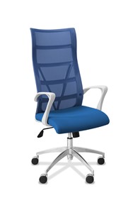 Офисное кресло для руководителя Топ X белый каркас, сетка/ткань TW / синяя/голубая в Биробиджане