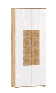 Шкаф двухстворчатый Фиджи с декоративными накладками 659.310, Дуб Золотой/Белый в Биробиджане