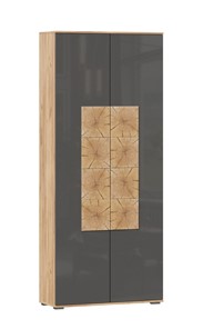 Шкаф двухстворчатый Фиджи с декоративными накладками 659.310, Дуб Золотой/Антрацит в Биробиджане