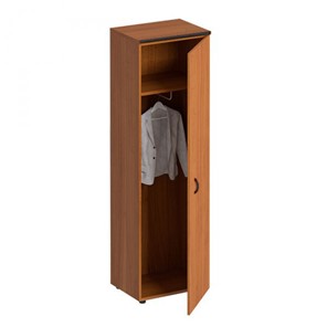 Шкаф для одежды Дин-Р, французский орех (60х46,5х196,5) ДР 772 в Биробиджане