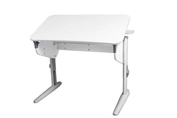 Детский стол-трансформер 5/100 (СУТ.46) + Polka_z 5/500 (2 шт) Рамух белый/серый/серый в Биробиджане