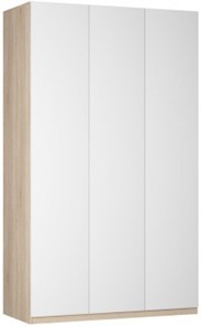 Шкаф 3-дверный Реал распашной (Push to open; R-198х135х45-1-PO), без зеркала в Биробиджане