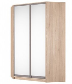Угловой шкаф Аларти (YA-230х1400(602) (10) Вар. 5; двери D5+D5), с зеркалом в Биробиджане - предосмотр