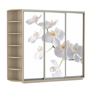 Шкаф 3-дверный Экспресс со стеллажом, 2100х600х2200, Орхидея белая/шимо светлый в Биробиджане