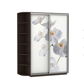 Шкаф 2-дверный Экспресс 1900x600x2200, со стеллажом, Орхидея белая/венге в Биробиджане