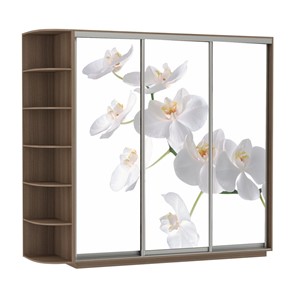 Шкаф 3-створчатый Экспресс со стеллажом, 2100х600х2200, Орхидея белая/шимо темный в Биробиджане