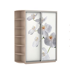 Шкаф двухдверный Экспресс 1900x600x2200, со стеллажом, Орхидея белая/дуб молочный в Биробиджане
