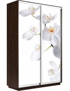Шкаф Экспресс 1400x600x2400, Орхидея белая/венге в Биробиджане