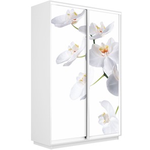 Шкаф двухдверный Экспресс 1600x450x2400, Орхидея белая/белый снег в Биробиджане
