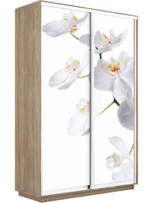 Шкаф 2-створчатый Экспресс 1600x450x2400, Орхидея белая/дуб сонома в Биробиджане