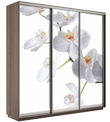 Шкаф 3-х створчатый Экспресс 1800х600х2200, Орхидея бела/шимо темный в Биробиджане - изображение
