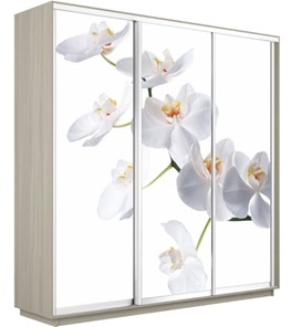 Шкаф 3-х створчатый Экспресс 2100х600х2200, Орхидея белая/шимо светлый в Биробиджане