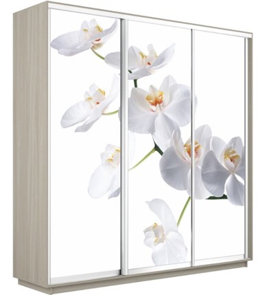 Шкаф Экспресс 2400х600х2400, Орхидея белая/шимо светлый в Биробиджане - изображение