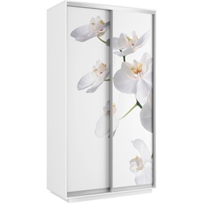 Шкаф 2-х дверный Хит 1200x600x2200, белая орхидея, белый снег в Биробиджане