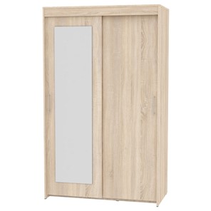 Шкаф 2-х дверный Топ (T-1-230х120х60 (3)-М; Вар.1), с зеркалом в Биробиджане
