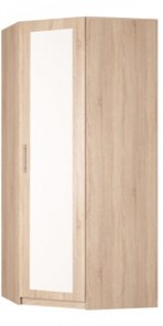 Угловой шкаф распашной Реал (YR-230х1034 (3)-М Вар.4), с зеркалом в Биробиджане - предосмотр