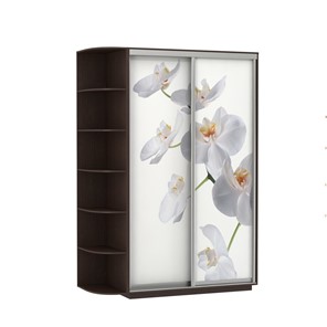 Шкаф 2-створчатый Экспресс 1700x600x2200, со стеллажом, Орхидея белая/венге в Биробиджане