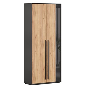Шкаф для прихожей 2-дверный Неаполь ЛД.134050.000 (Черный/Дуб Золотой) в Биробиджане