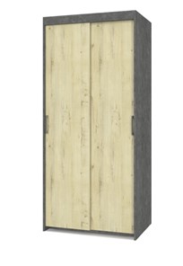 Шкаф 2-х дверный Томас Т21, Камень темный/Ирландский дуб в Биробиджане