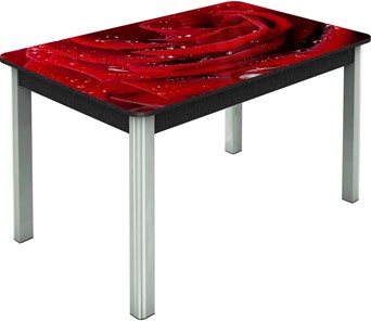 Кухонный раскладной стол Гамбург исп. Мини, ноги метал. крашеные №23, Фотопечать (Цветы №39) в Биробиджане
