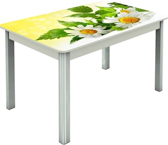 Кухонный раскладной стол Гамбург исп.2 ноги метал. крашеные №23, Фотопечать (Цветы №3) в Биробиджане