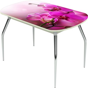 Кухонный раздвижной стол Ривьера исп.1 ноги метал. крашеные №24 Фотопечать (Цветы №16) в Биробиджане