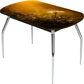 Кухонный раскладной стол Ривьера исп.2 ноги метал. крашеные №24 Фотопечать (Цветы №43) в Биробиджане