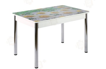 Кухонный стол раздвижной Айсберг-01 СТФ, дуб/фотопечать ромашки/ноги хром прямые круглые в Биробиджане