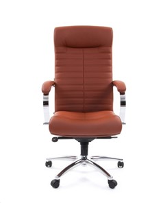 Компьютерное кресло CHAIRMAN 480 Экокожа Terra 111 (коричневая) в Биробиджане - предосмотр 1