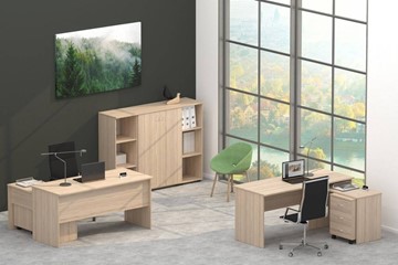 Комплект офисной мебели Twin в Биробиджане - предосмотр 4