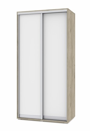 Шкаф 2-х дверный О41, Серый дуб - Белый в Биробиджане - изображение