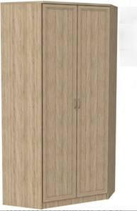 Распашной шкаф 403 несимметричный, цвет Дуб Сонома в Биробиджане - предосмотр