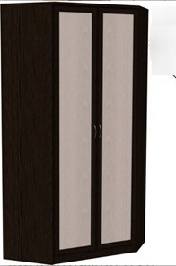 Распашной шкаф 403 несимметричный, цвет Венге в Биробиджане - предосмотр