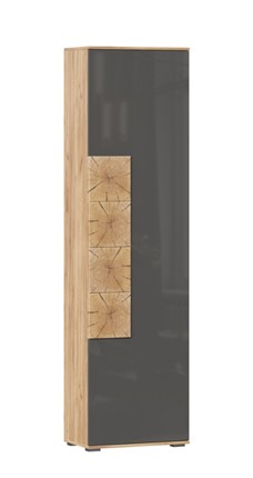 Шкаф одностворчатый Фиджи с декоративными накладками 659.300, Дуб Золотой/Антрацит в Биробиджане - изображение