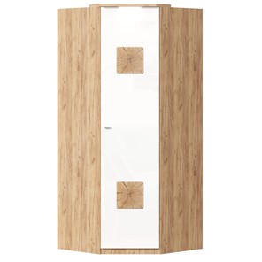 Шкаф угловой 45 с декоративной накладкой Фиджи, 659.248, белый в Биробиджане - предосмотр