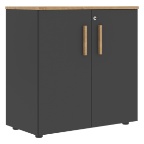 Низкий шкаф с малыми дверцами широкий FORTA Графит-Дуб Гамильтон  FLC 80.1(Z) (798х404х801) в Биробиджане