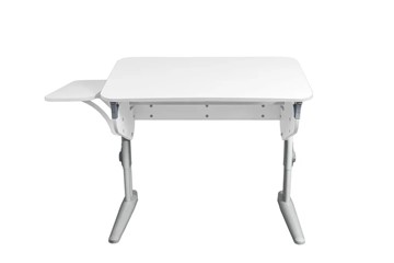 Детский стол-трансформер 5/100 (СУТ.46) + Polka_b 5/550 Рамух белый/белый/серый в Биробиджане